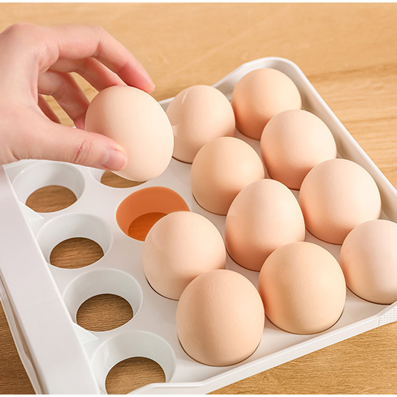 กล่องเก็บไข่สองชั้นพร้อมลิ้นชั - Food Storage Large Plastic Containers บทวิจารณ์และราคา
